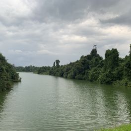 Chua Seng Hwee