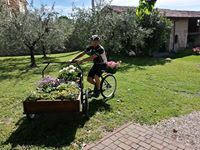 Luca Bussola