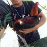 Ismael Isas