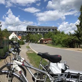 ramonaherzig