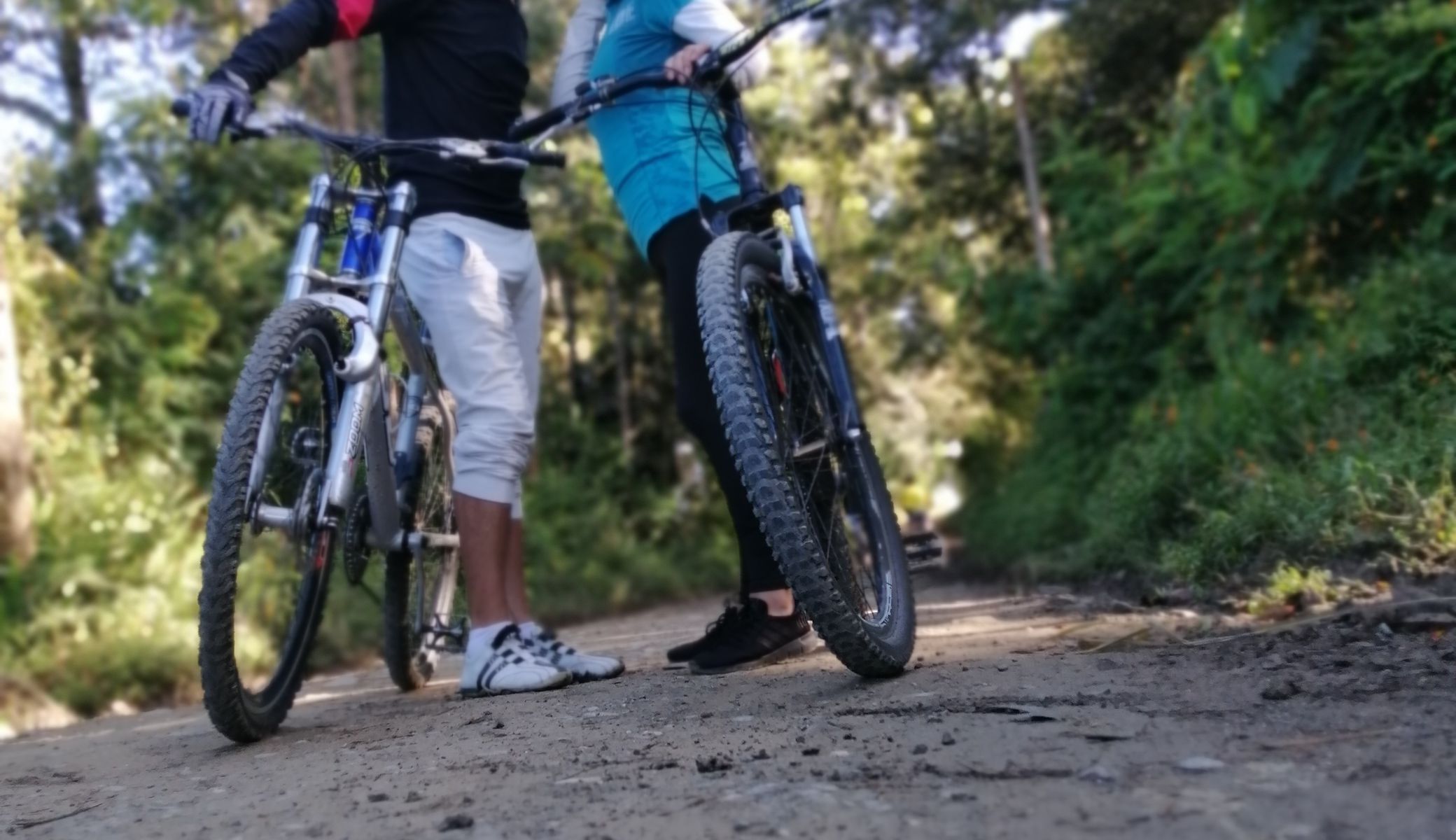 Diana Marcela Granja