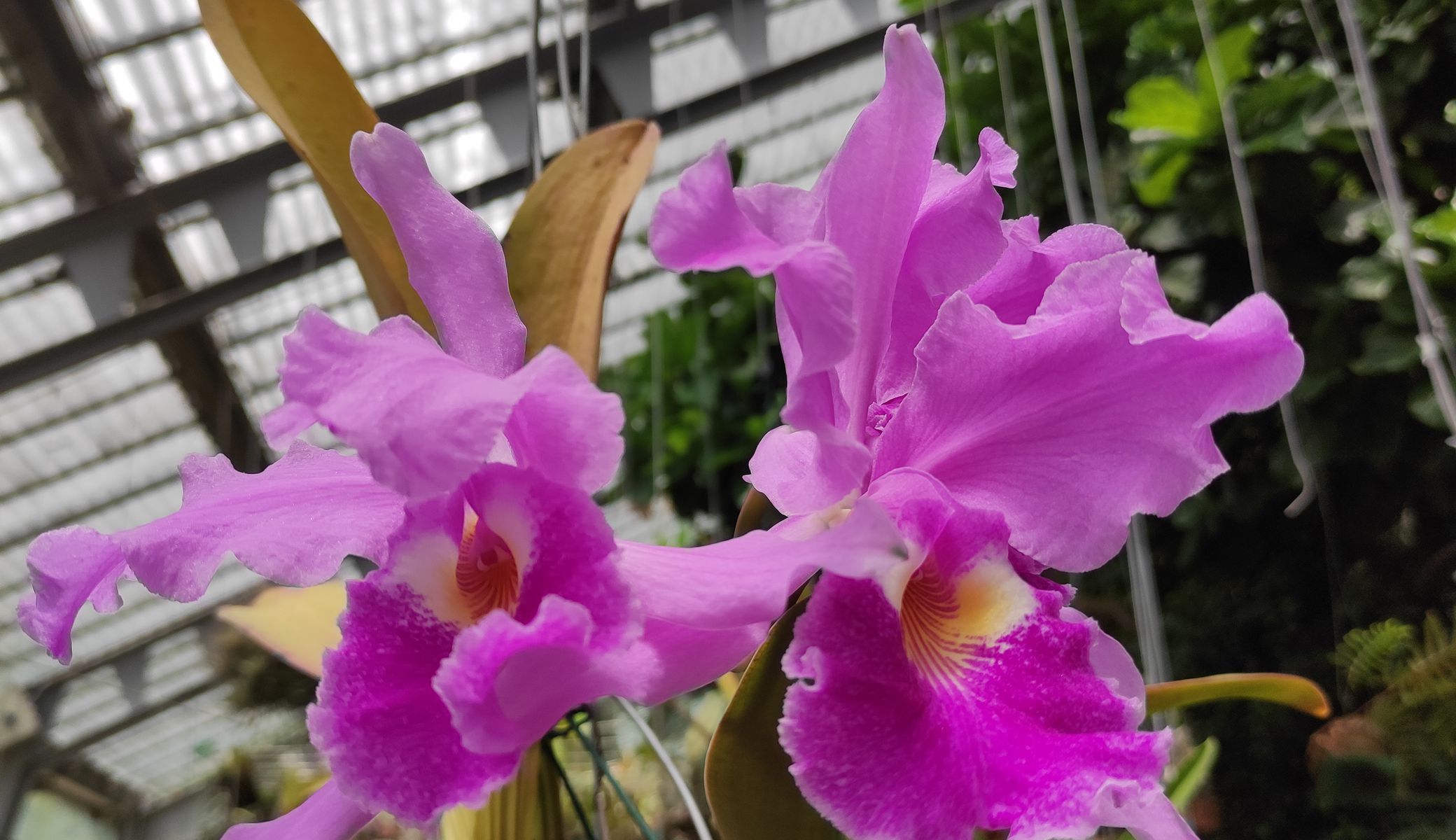 Javier Gonzalez Plaza