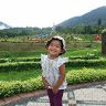 anggi juliasari