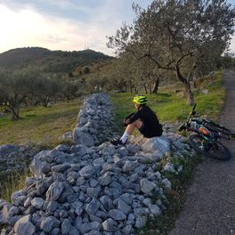 Riccardo Haisu