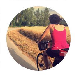 DanubeVelo