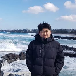 조용한늘보