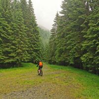 Razvan Mihai Chesnoiu