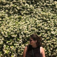 Ariel Hasak-Lowy
