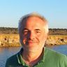 Fabio Rosi