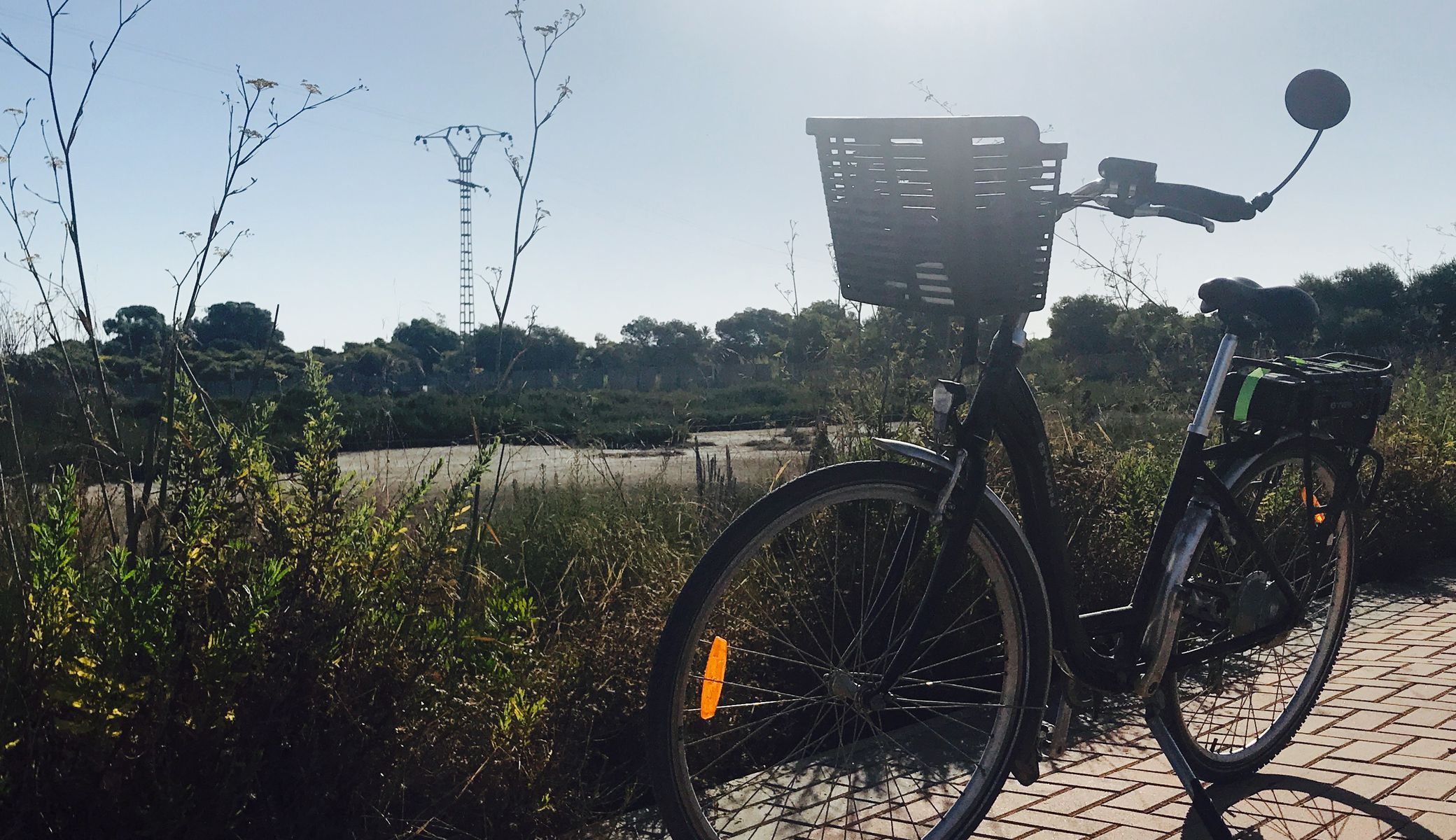 Johnny Rudolf Halvorsen