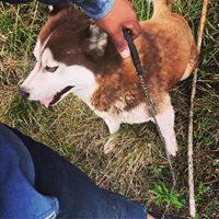 Hernande Laureano Sergio