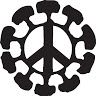 Matt Ecocentric