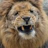 Bernd Fritsche