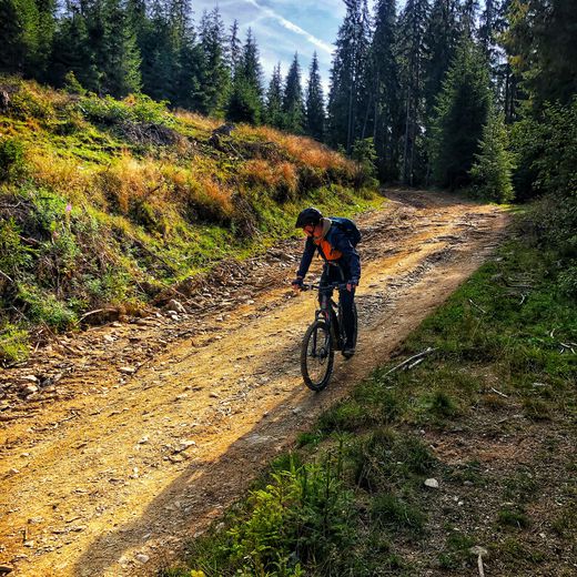 Daniel Horea Nicolae