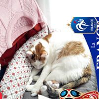 Viviane Colinet Lahellec