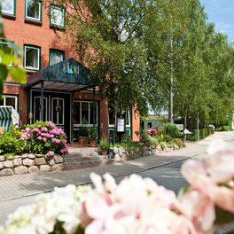 Hotel-Birke