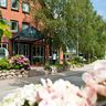 Hotel-Birke