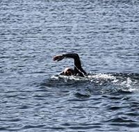 Øystein Kalvø Stephansen