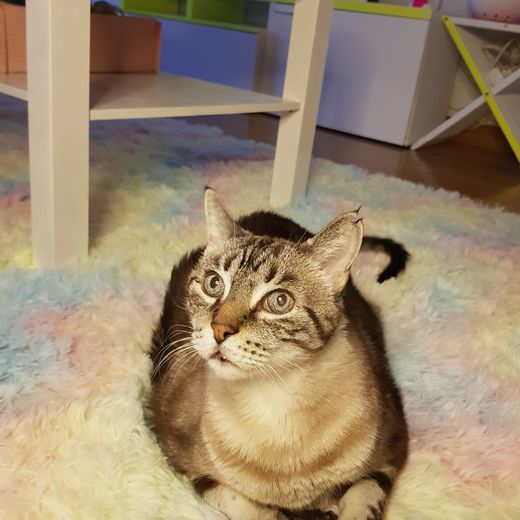 javi.obispo@hotmail.com