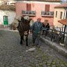 Amico Sozio