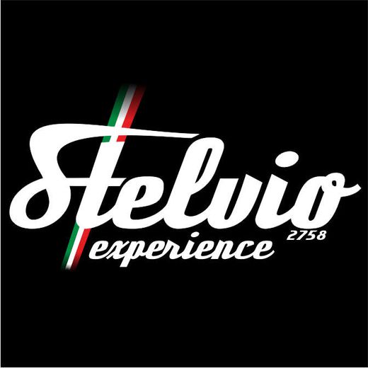 Stelvio eXperience