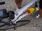 swissmoped