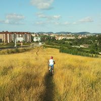 Jose Javier Gonzalez Pulpeiro