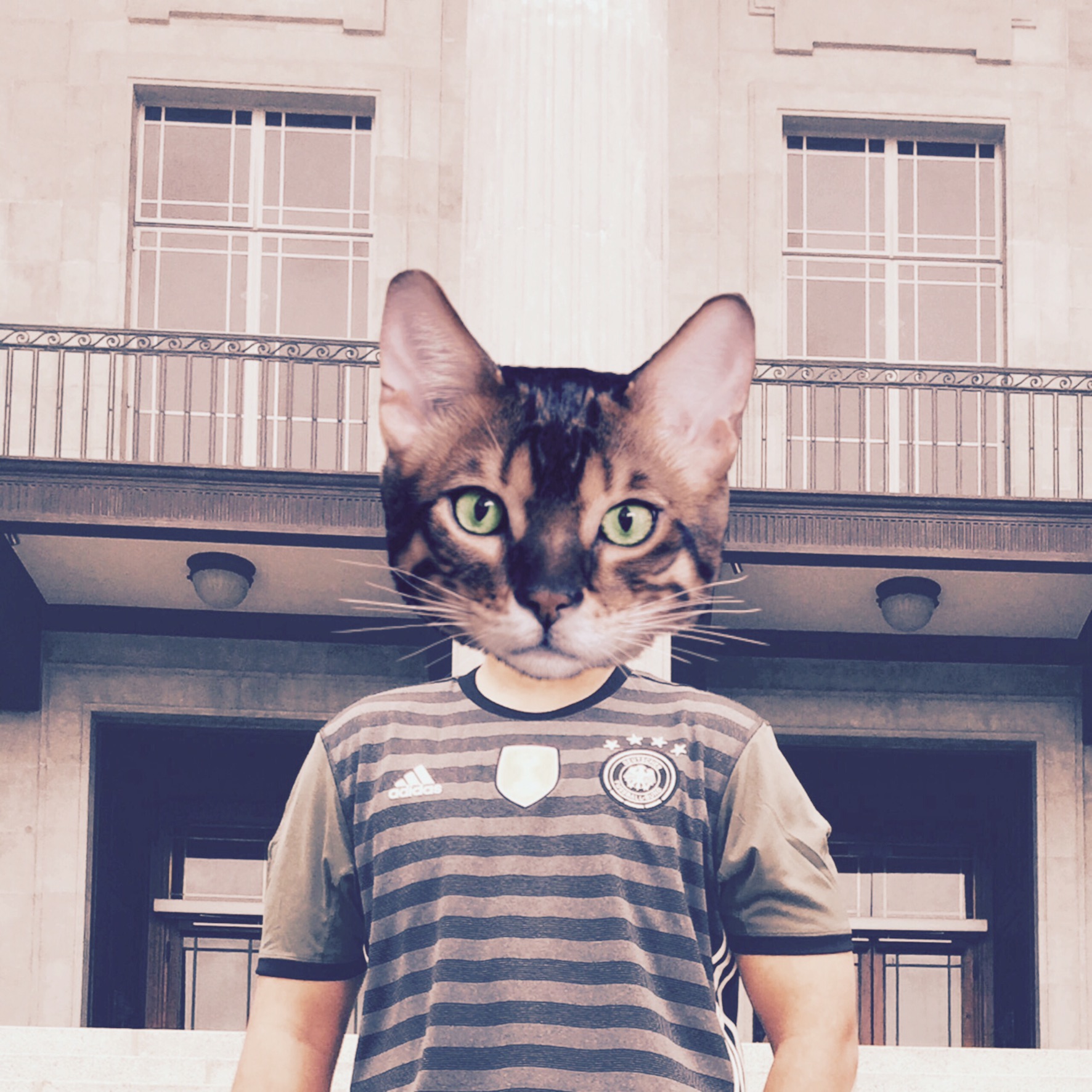 Muhd Hafizurrahman