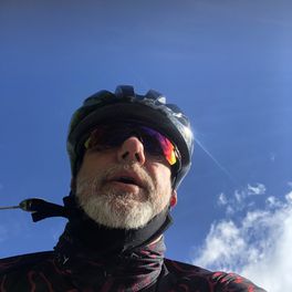 stefano vegliani