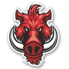 Daniele Lollobattista