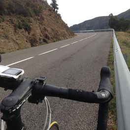 Rennrad laufer