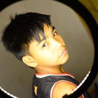 Braille Carbonel Pine