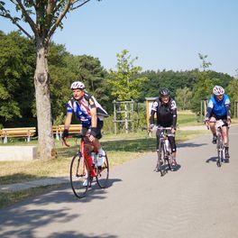 radfreunde