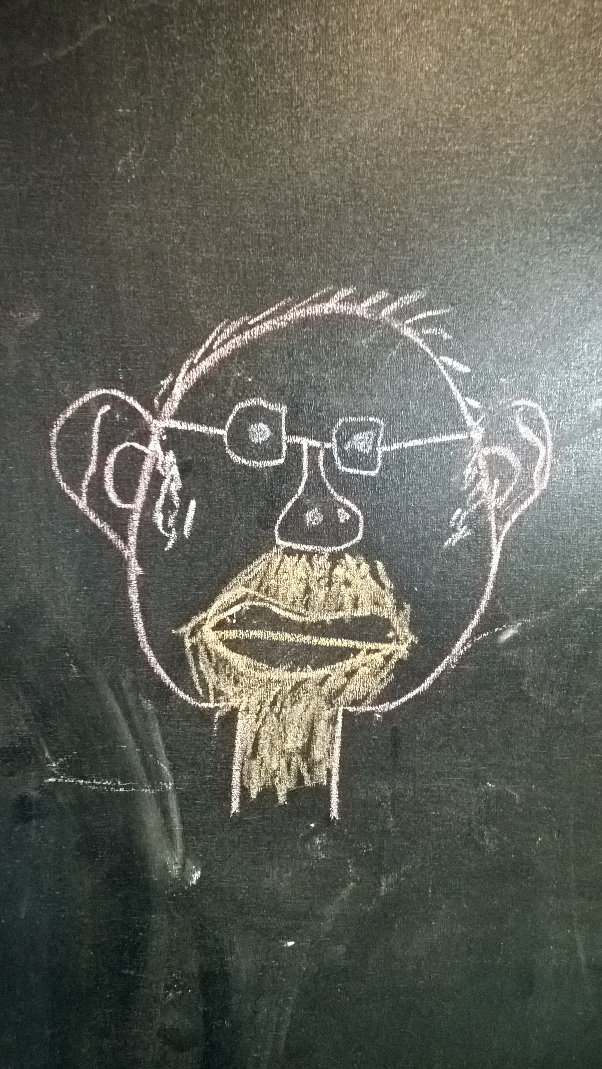 Dario Motterle
