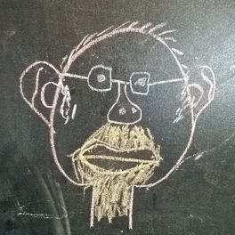 Dario Motterle