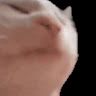 123