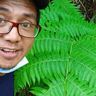 Jonathan Toledanes Clavel