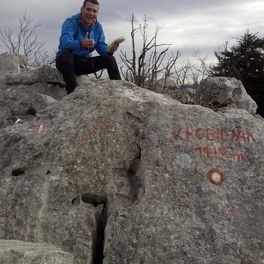Zoran Grgić