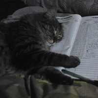 Louise Vargaya Conza