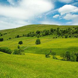 Tevko