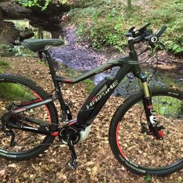 Haibike RX29
