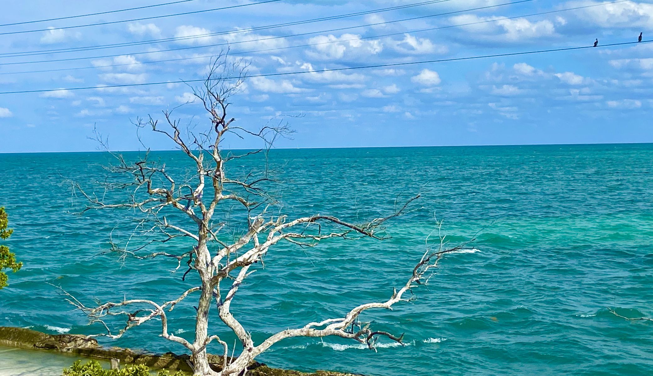 Carolyn M. Hysmith Rethwisch