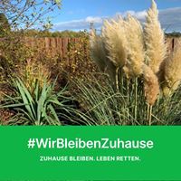 TOGESCH