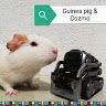 Mylka &amp; Cozmo