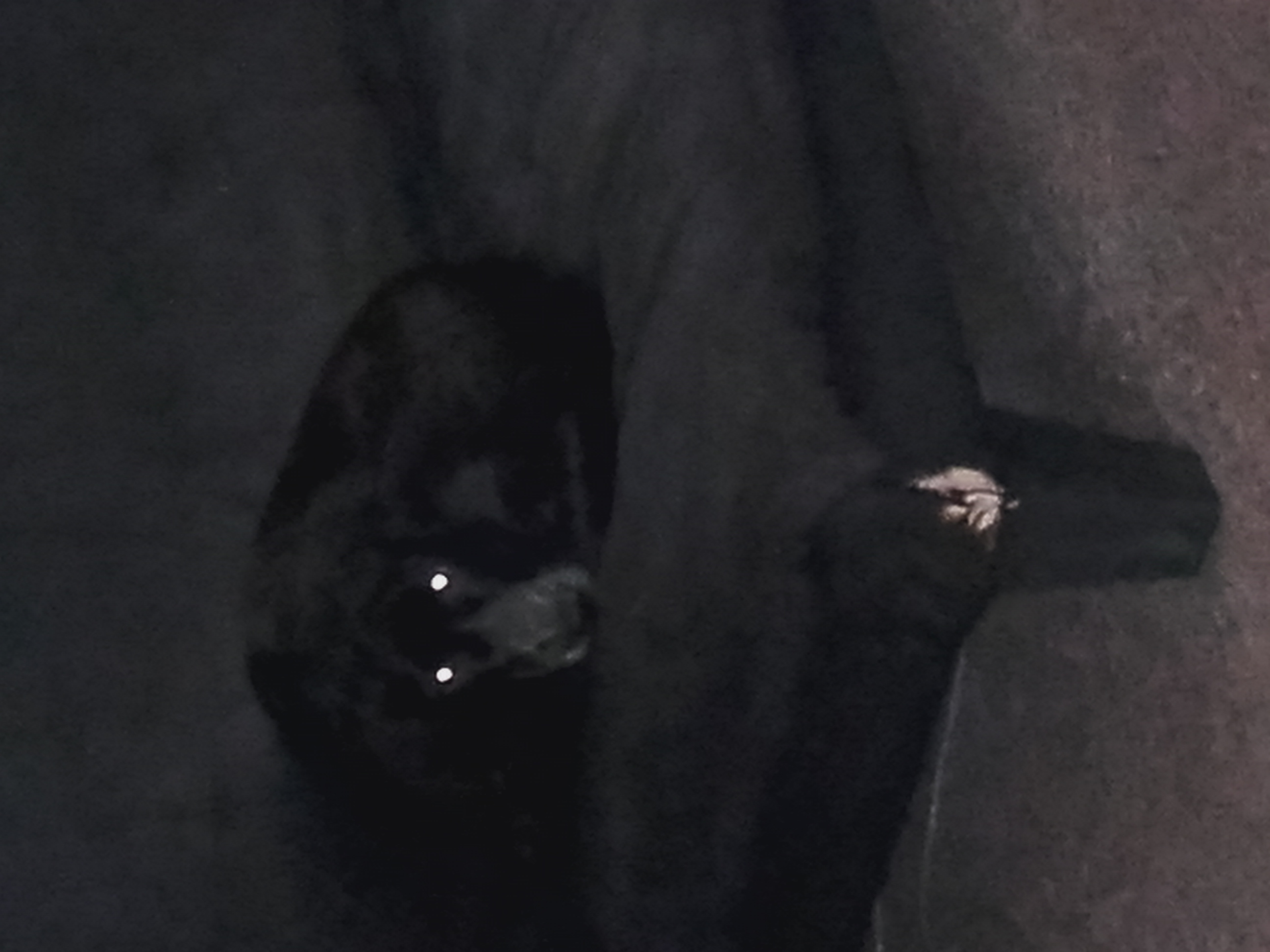 Sirdaro