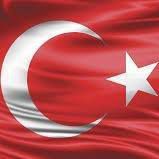 Mert Can Dülger