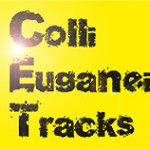 collieuganeitracks