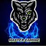 MASTER GAMING Дани