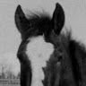 Richard Steinbeck