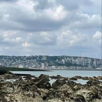 Flavya Dautremepuich